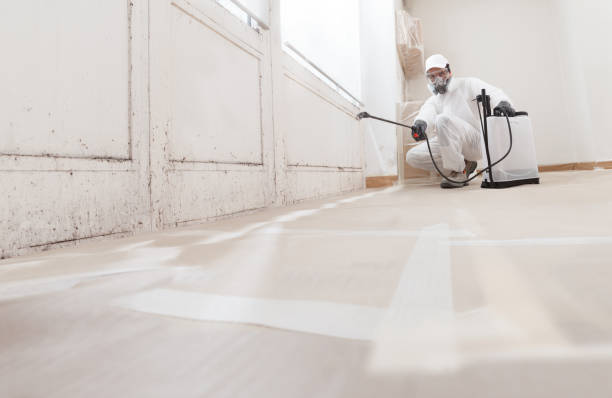24/7 Emergency Basement Mold Remediation experts in Jeffersonton, VA